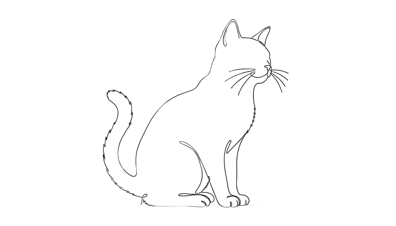 cat outline png PNG transparent background