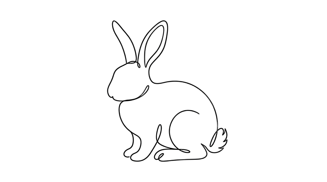 rabbit line art png PNG transparent background