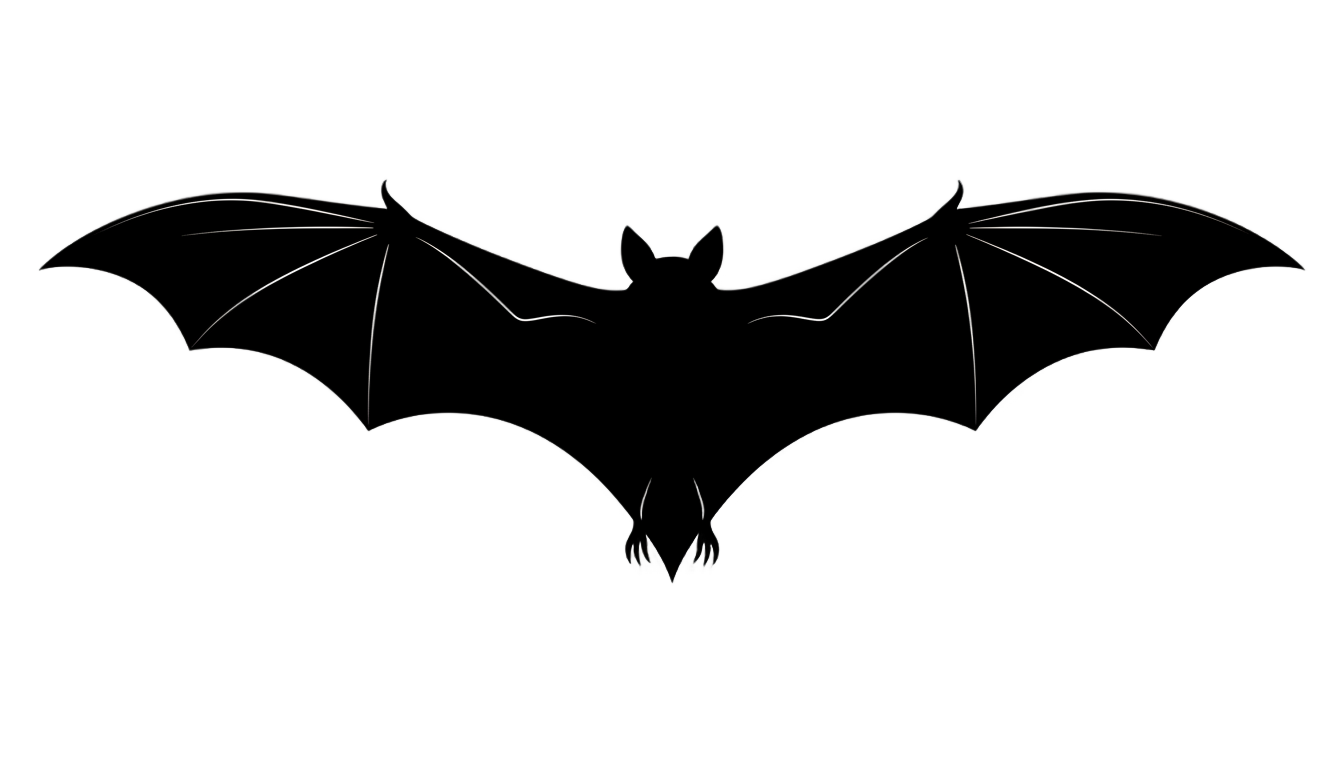 bat silhouette png PNG transparent background