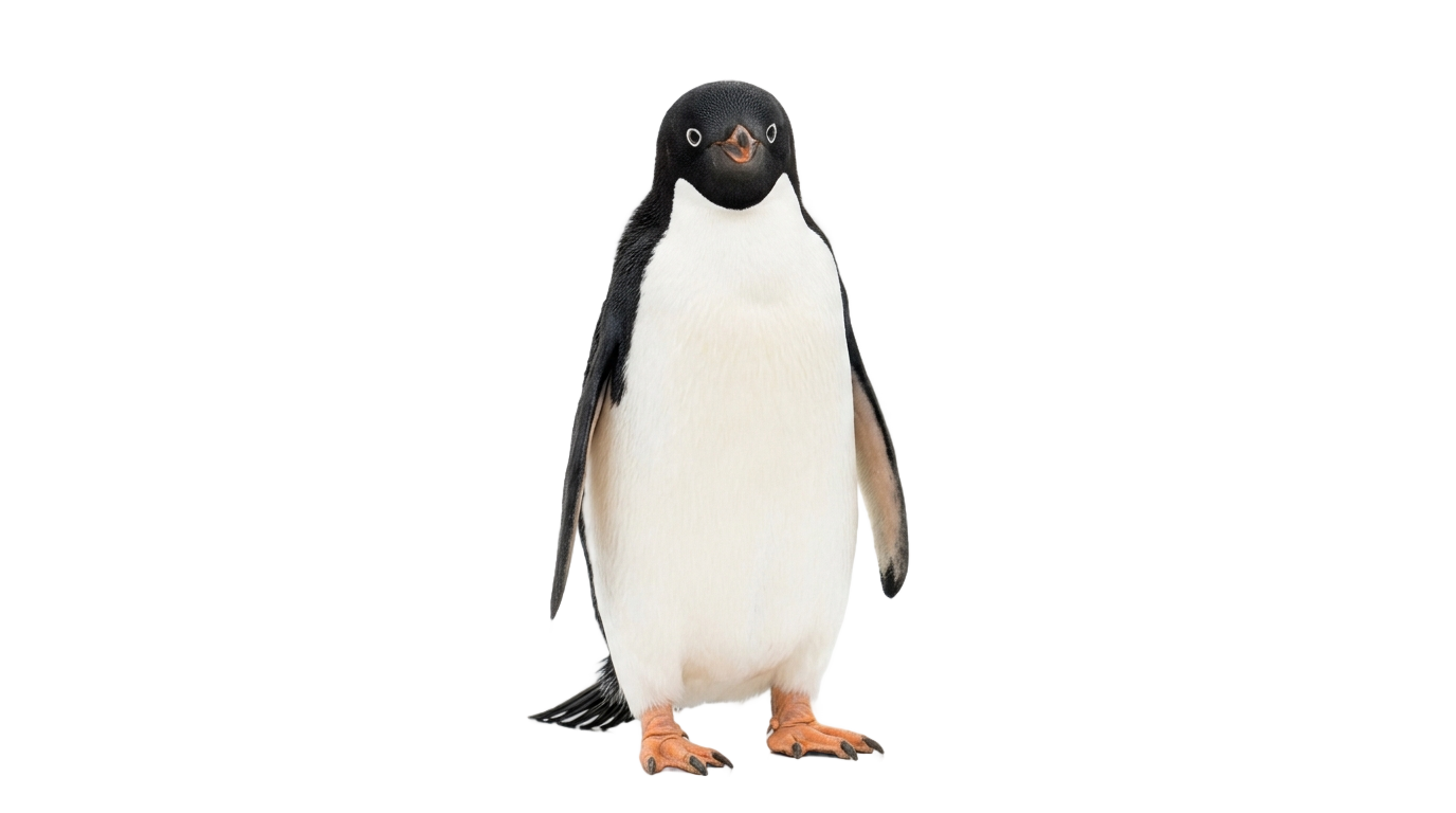 penguin random house png PNG transparent background