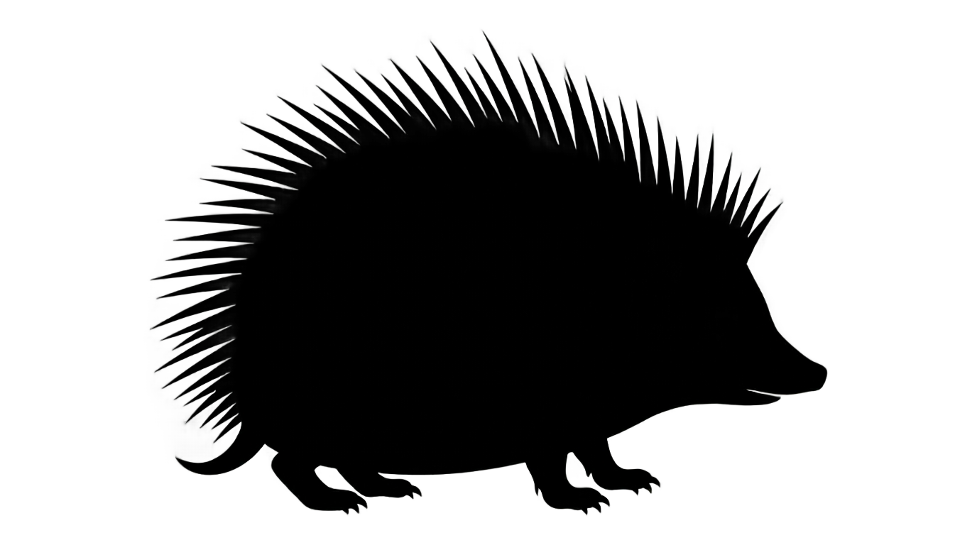hedgehog silhouette png PNG transparent background