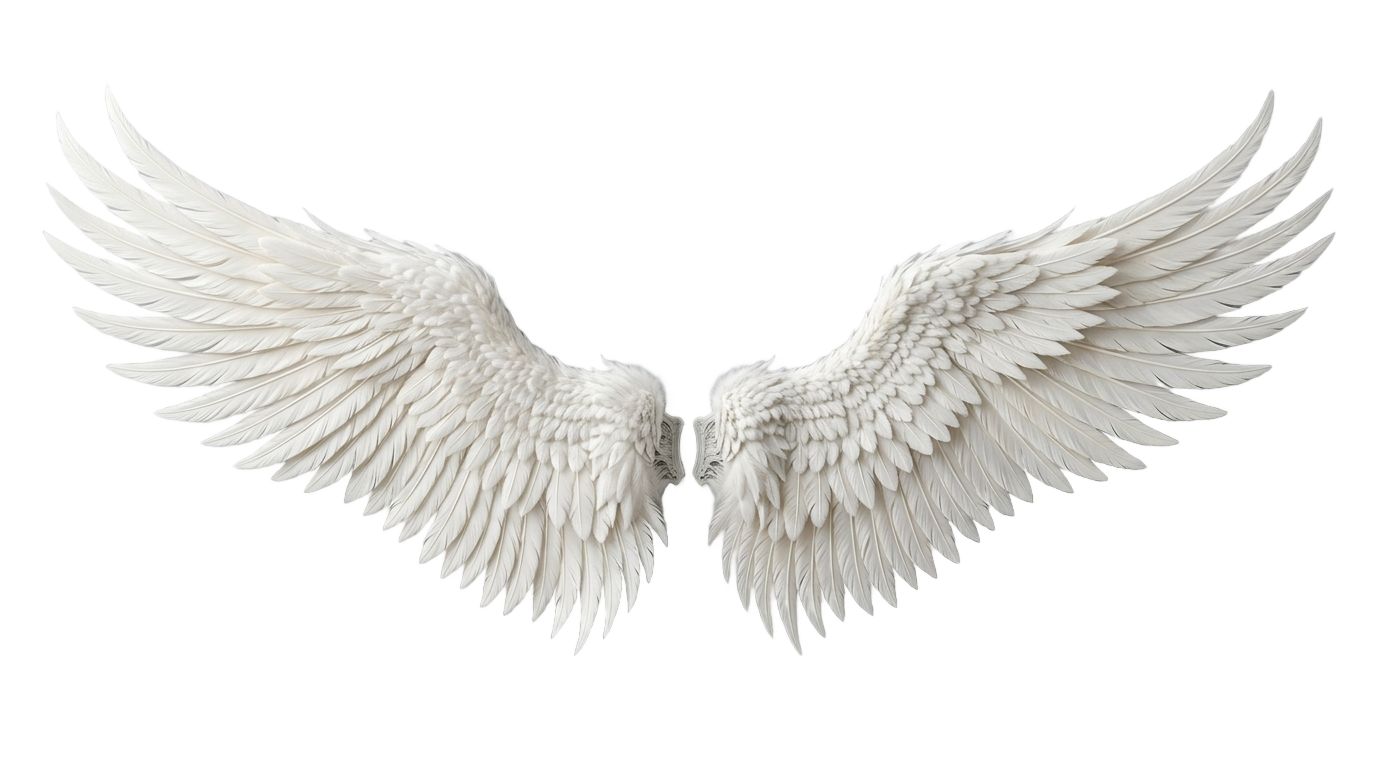 gorilla tag angel wings png PNG transparent background