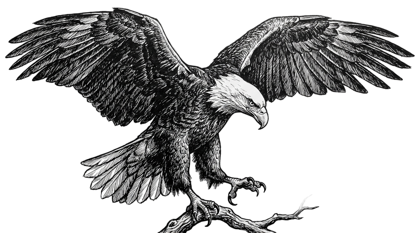 eagle png black and white PNG transparent background