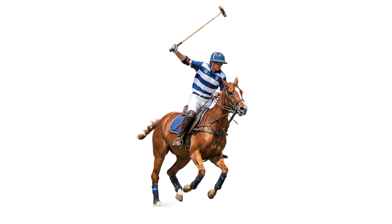 polo horse png PNG transparent background