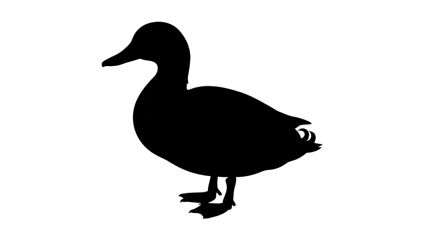 duck black and white png PNG transparent background