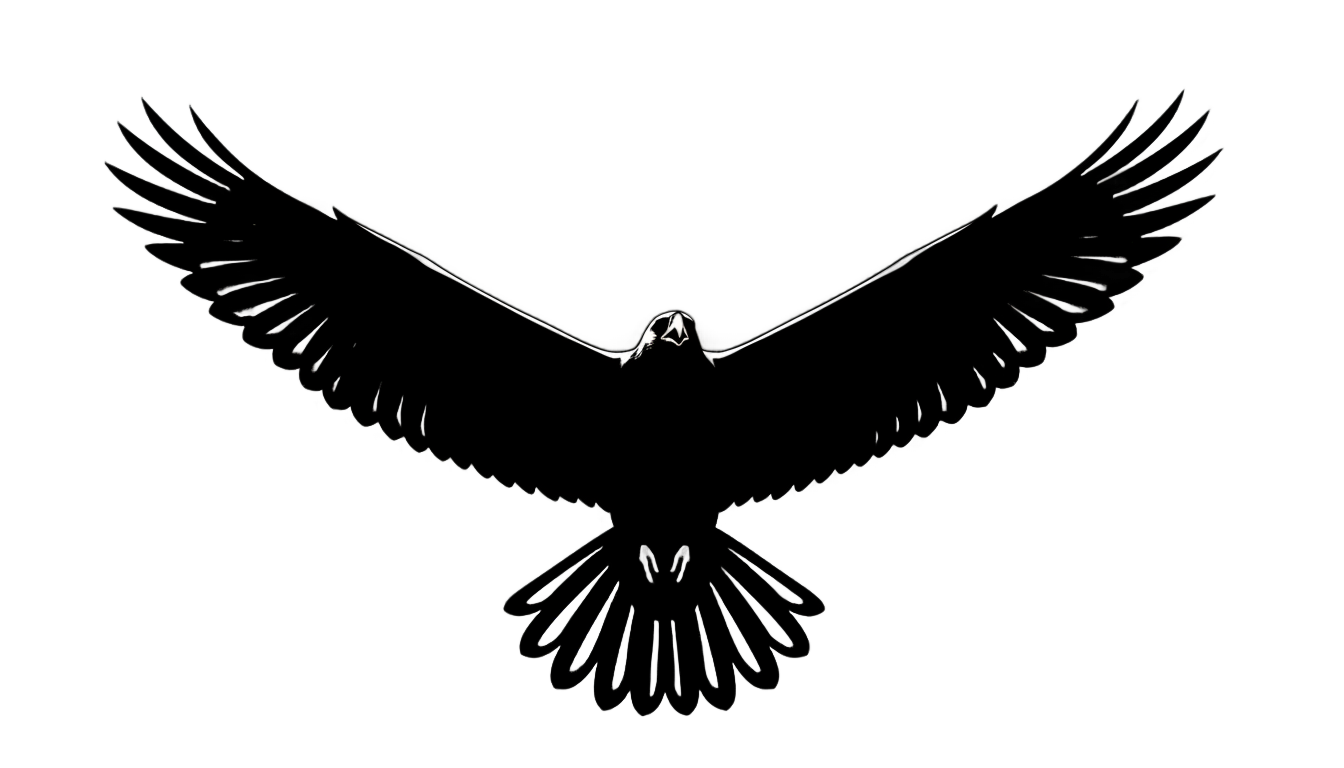 bird flying silhouette png PNG transparent background