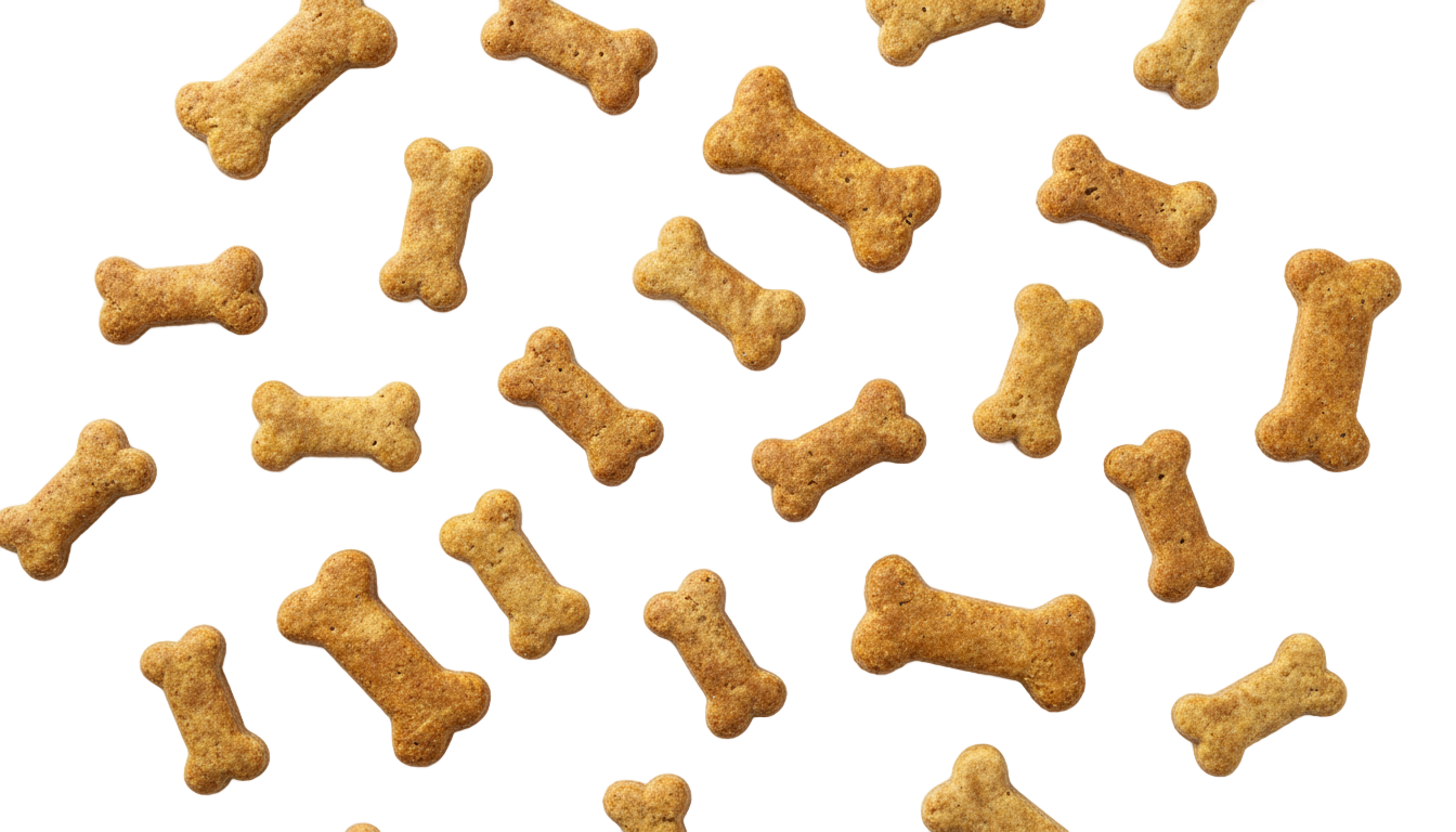 dog treats png PNG transparent background