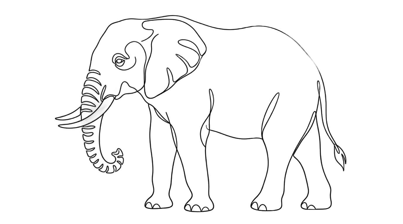 elephant line art png PNG transparent background