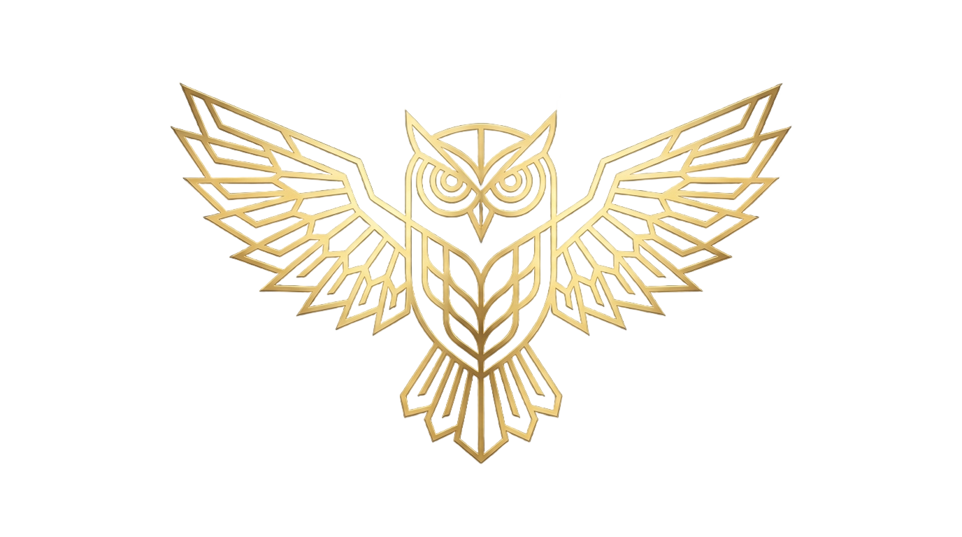 drake owl png PNG transparent background