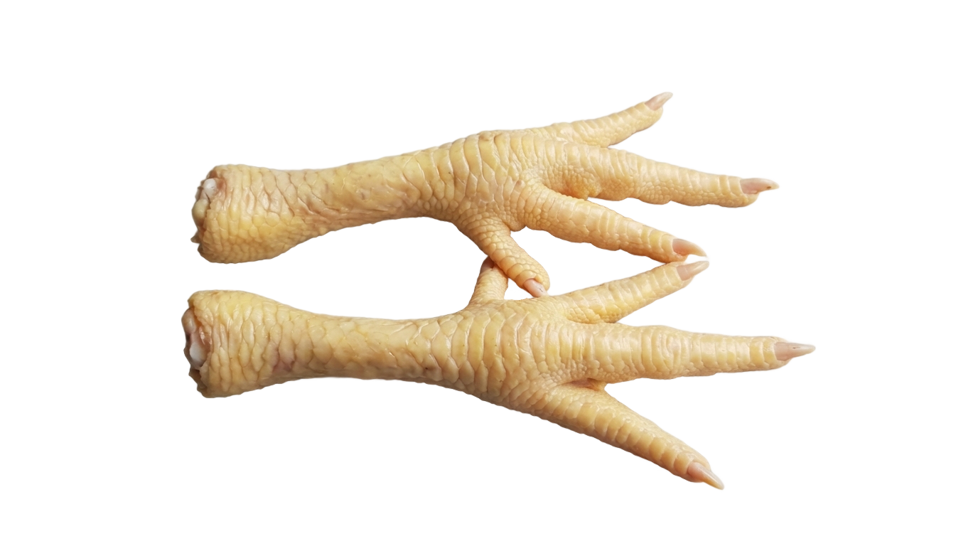 chicken feet png PNG transparent background