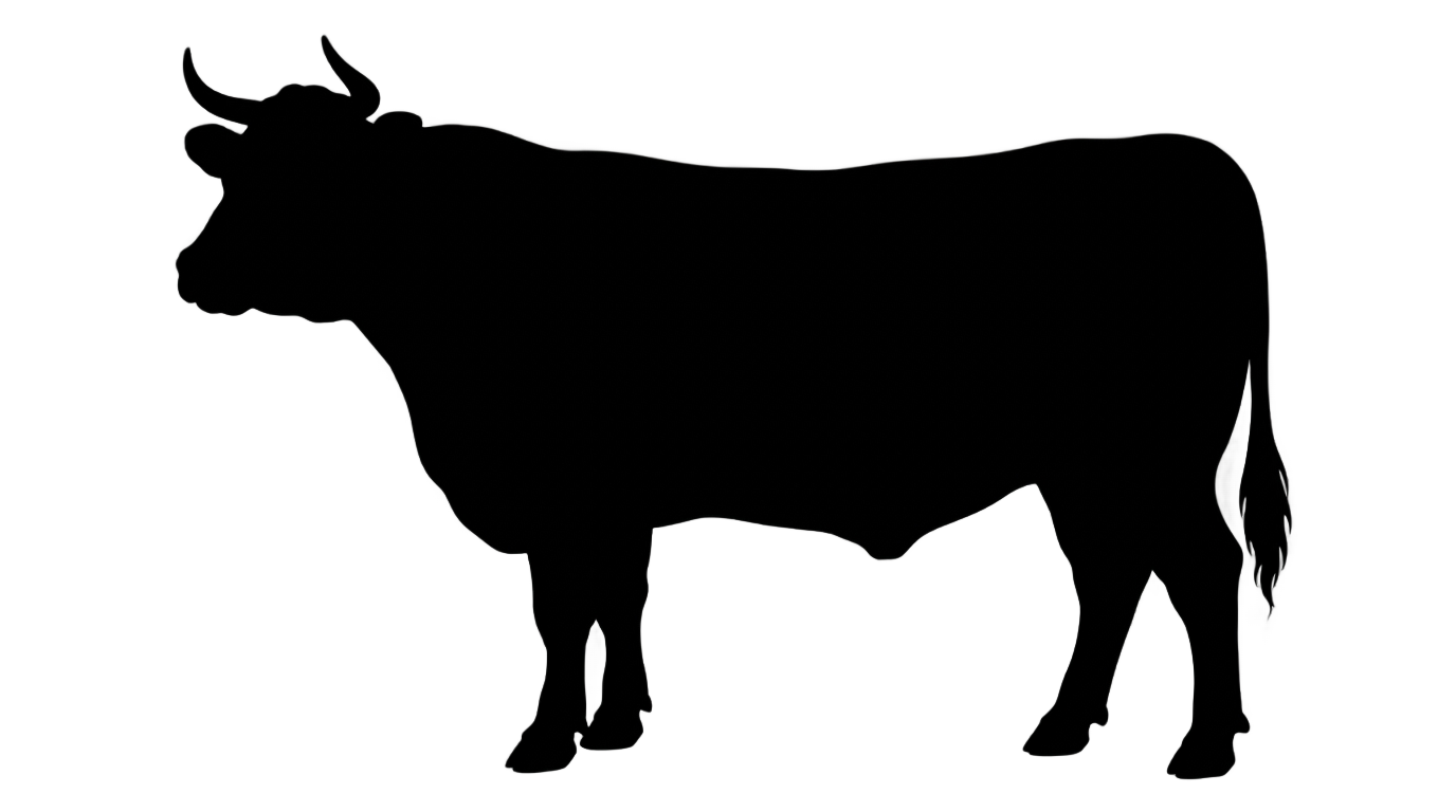 beef cow silhouette png PNG transparent background