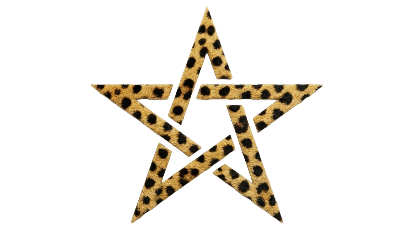 cheetah print star png PNG transparent background