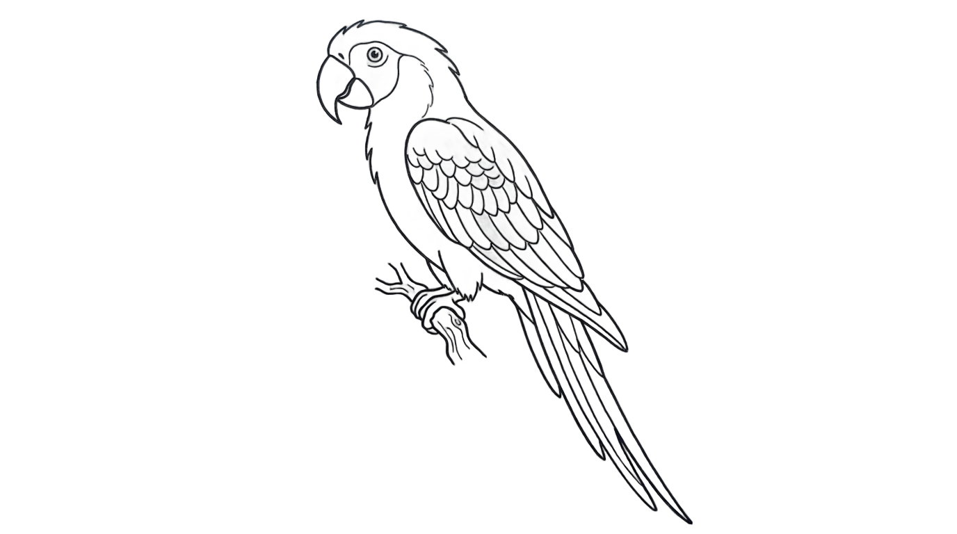 parrot outline png PNG transparent background