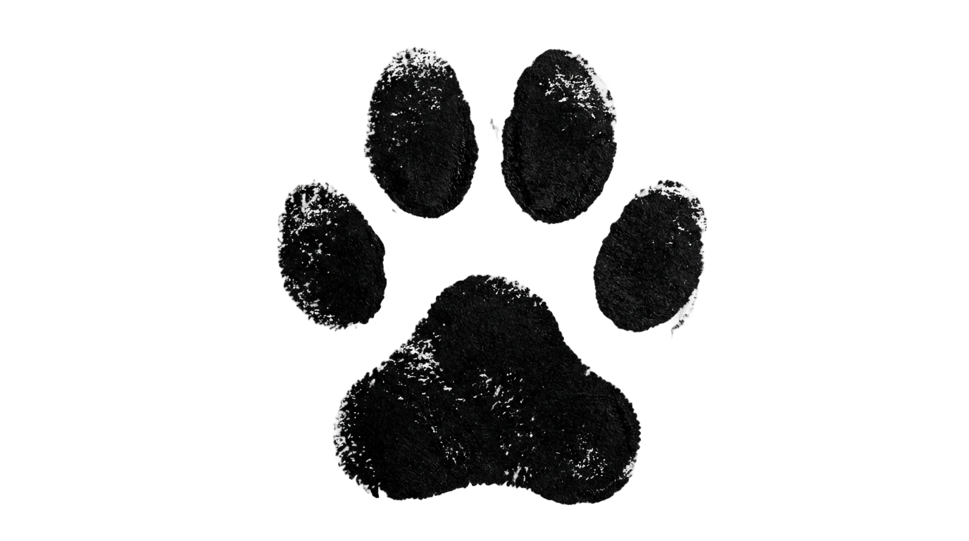 dog print png PNG transparent background