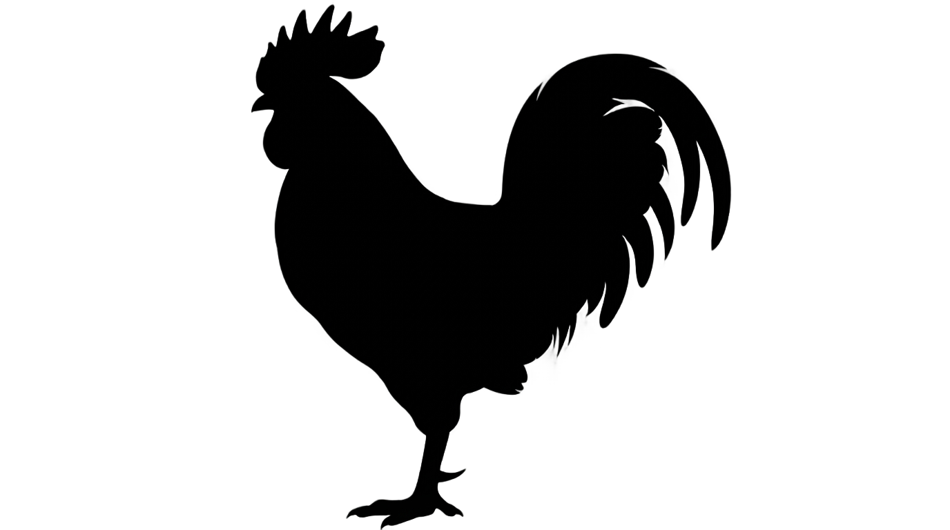 chicken silhouette png PNG transparent background