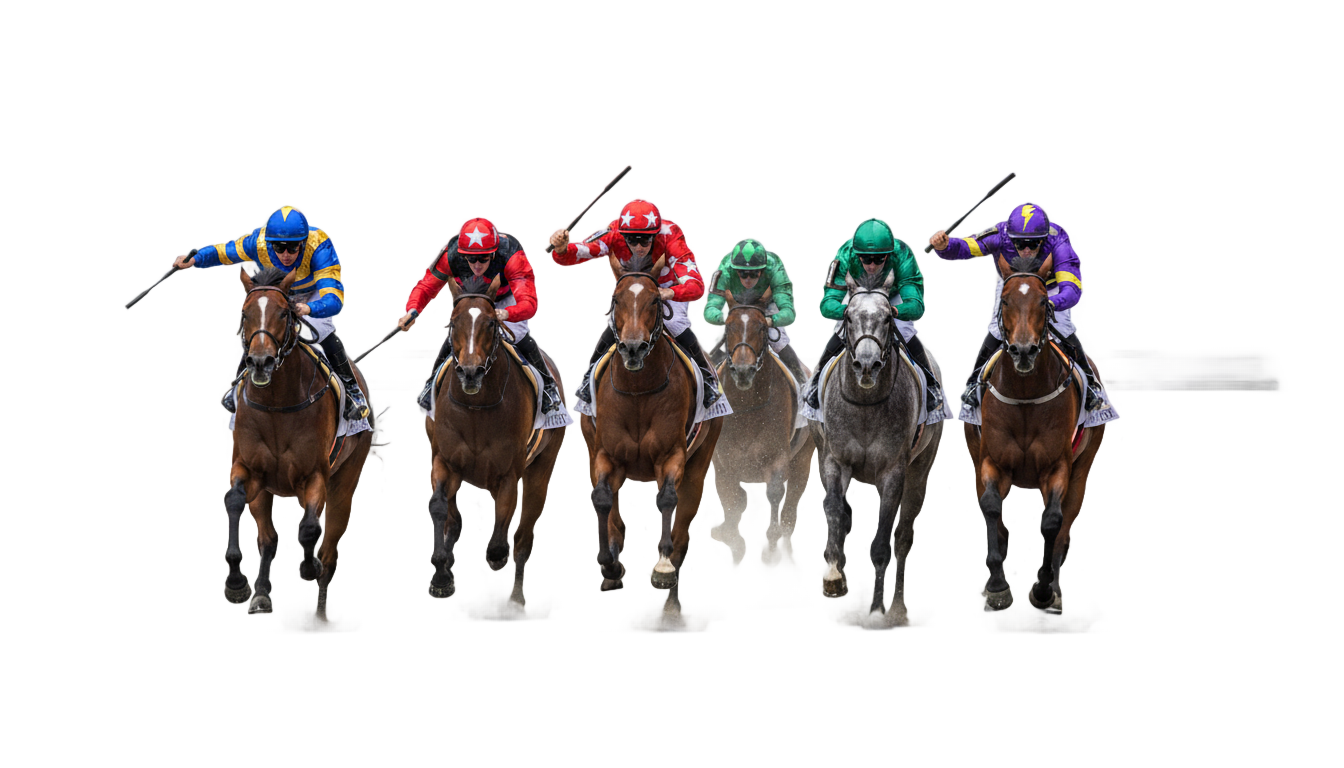 horse race png PNG transparent background
