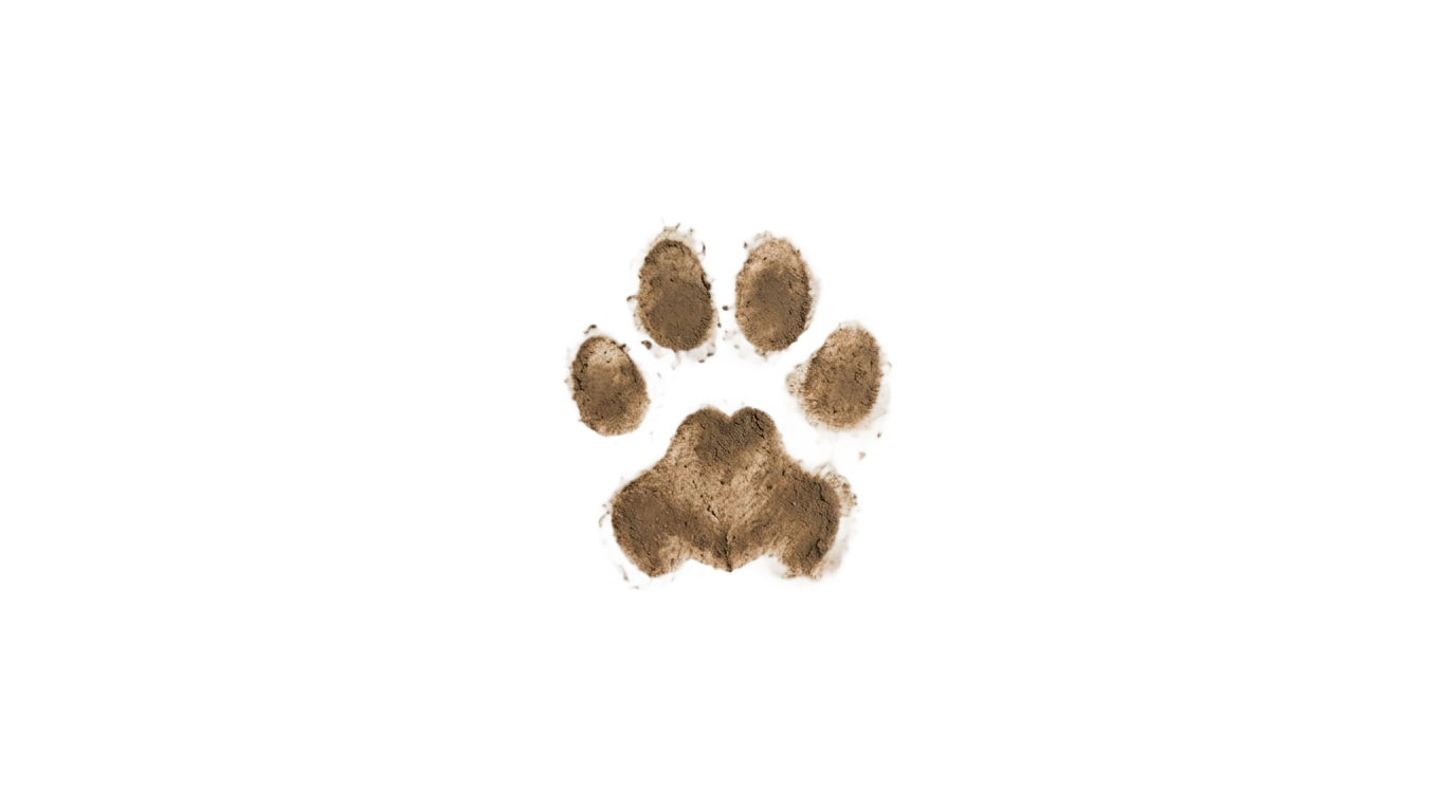 puppy paw print png PNG transparent background