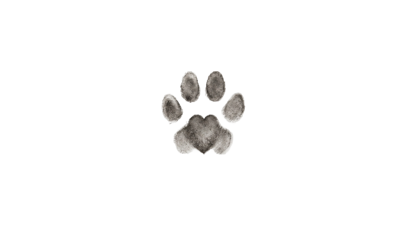 puppy paw print png PNG transparent background