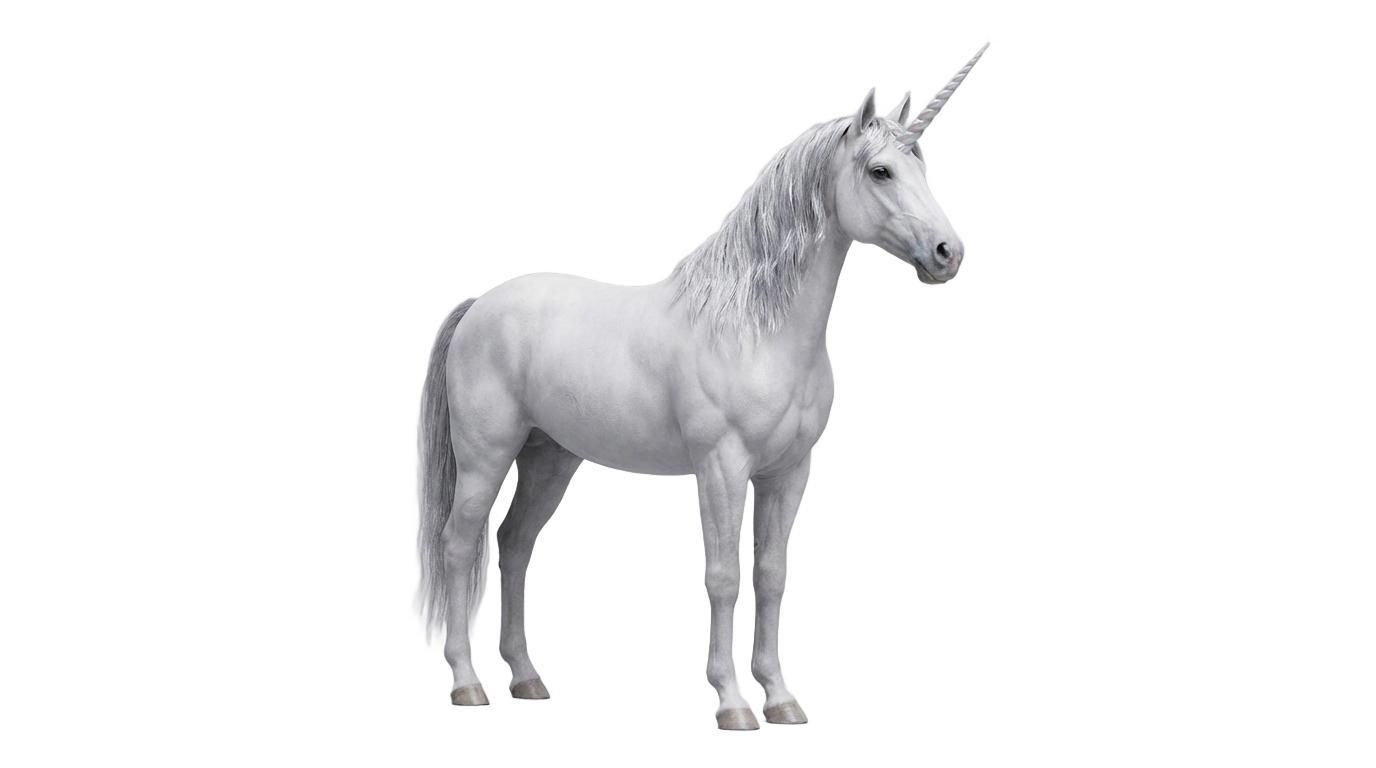 realistic unicorn png PNG transparent background