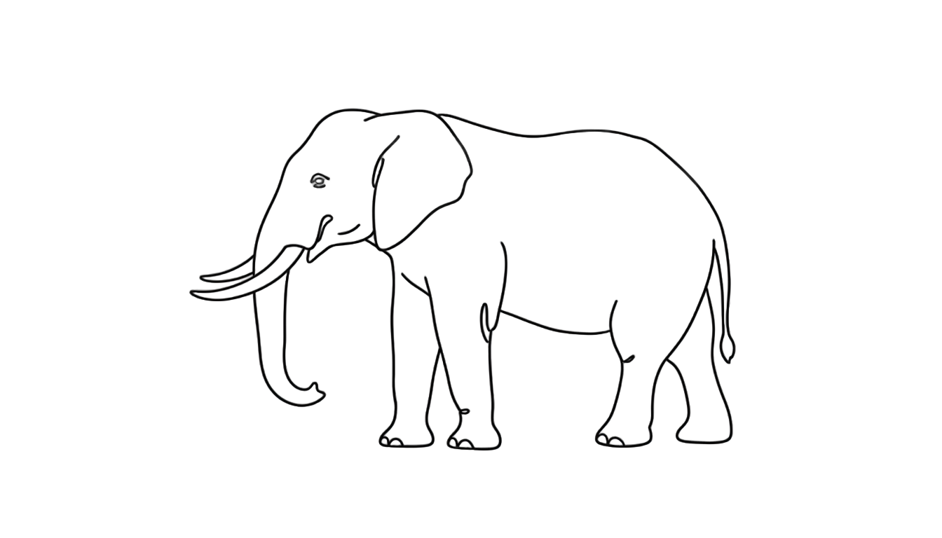 elephant outline png PNG transparent background
