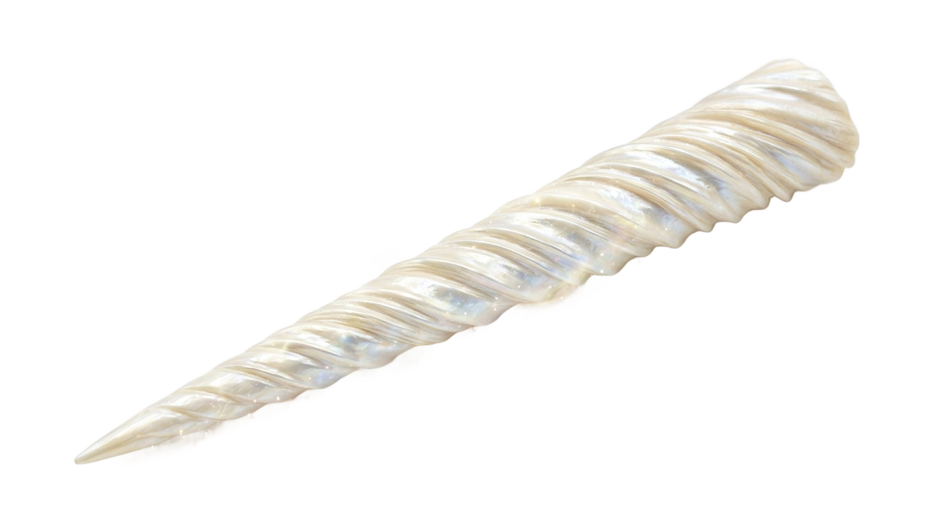 unicorn horn clipart png PNG transparent background