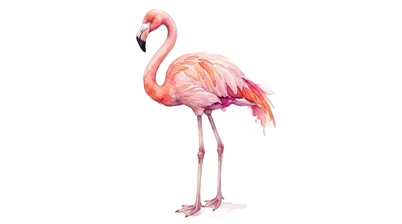 watercolor flamingo png PNG transparent background