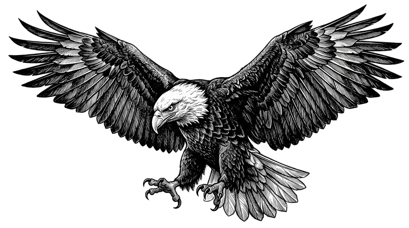 eagle clipart black and white png PNG transparent background