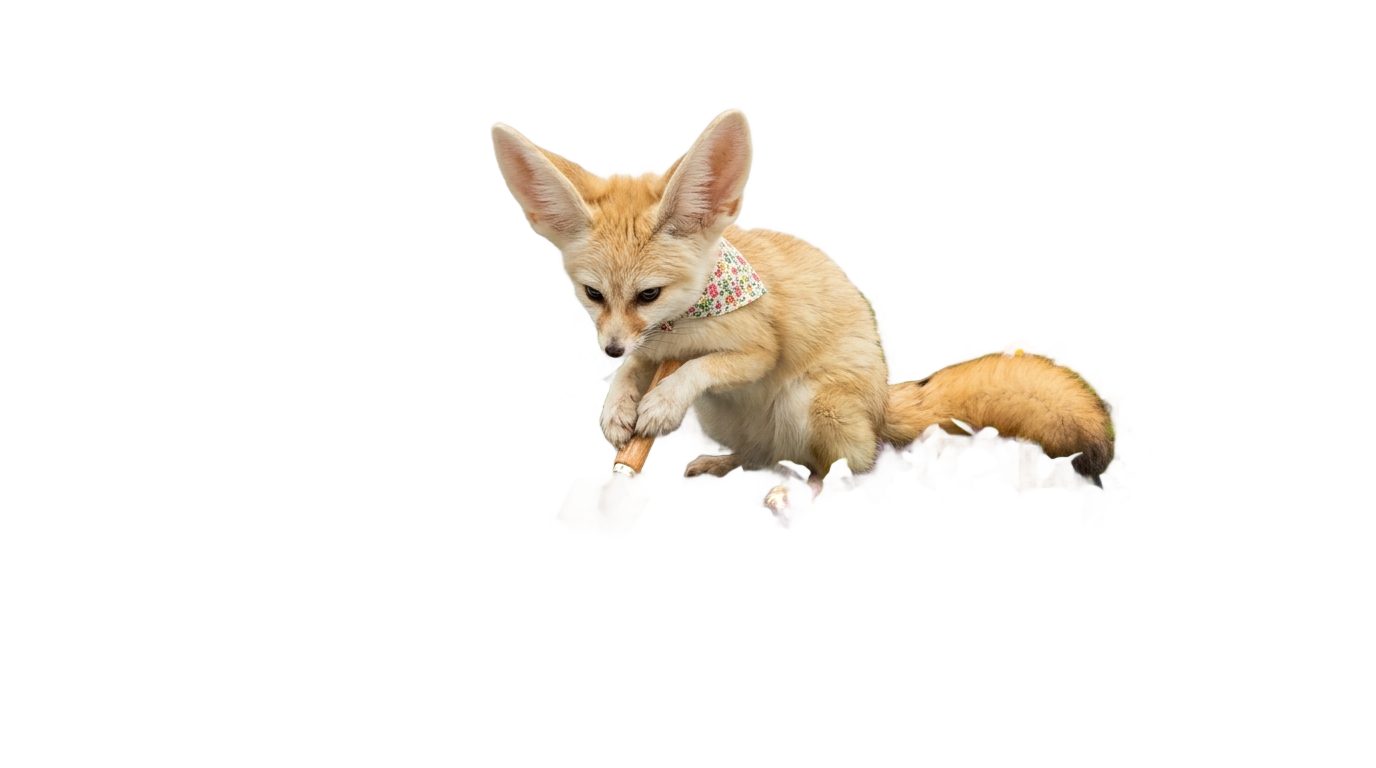 fennec fox grow a garden png PNG transparent background