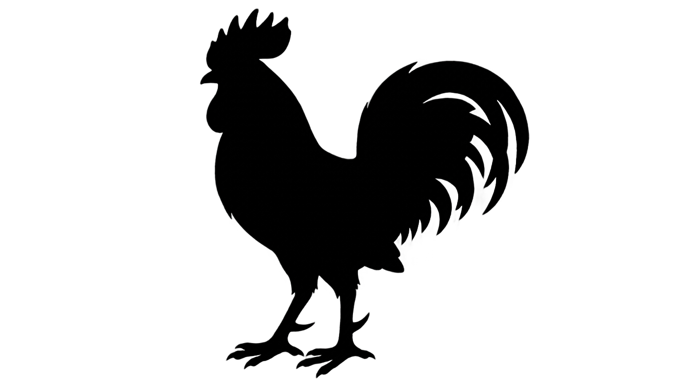 chicken silhouette png PNG transparent background