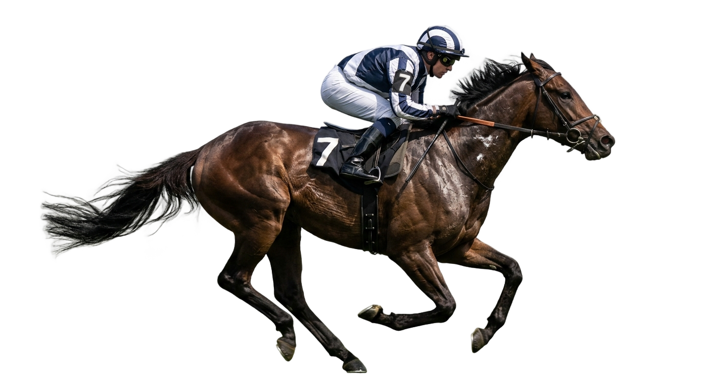 horse racing logo png PNG transparent background