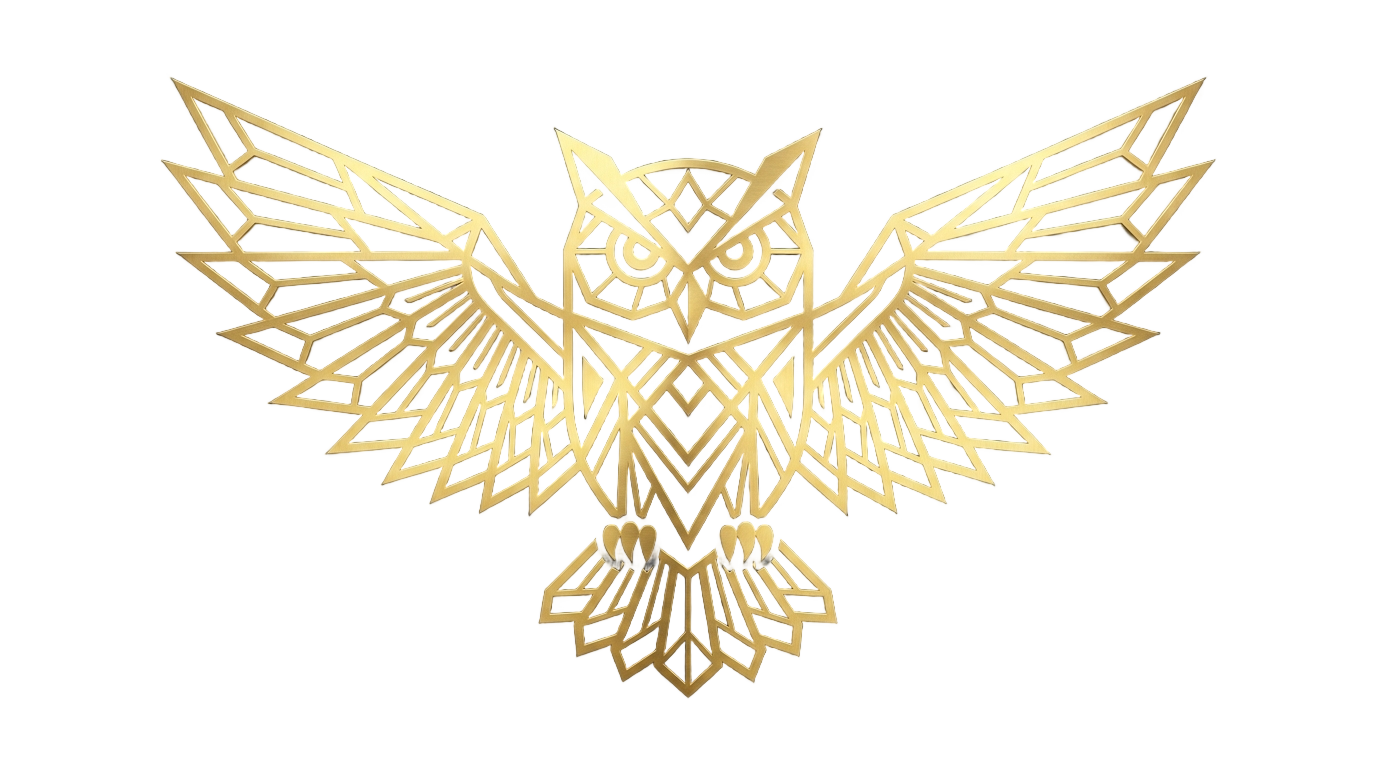 drake owl png PNG transparent background