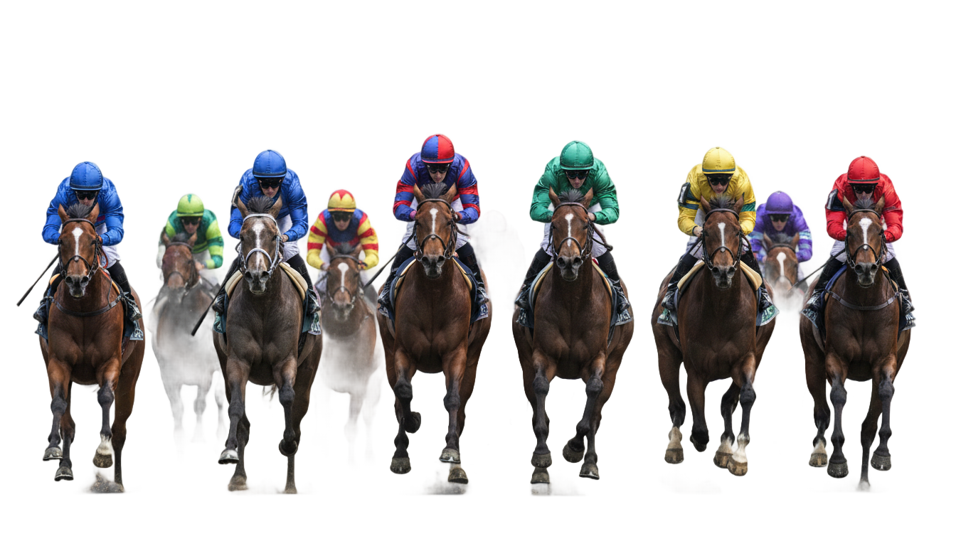 horse race png PNG transparent background