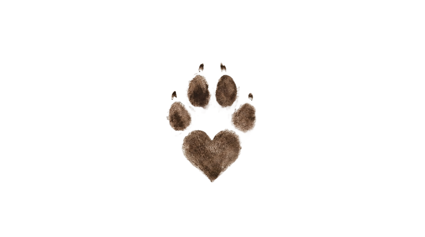 puppy paw print png PNG transparent background