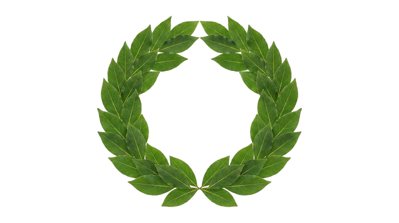 laurel leaves award png PNG transparent background