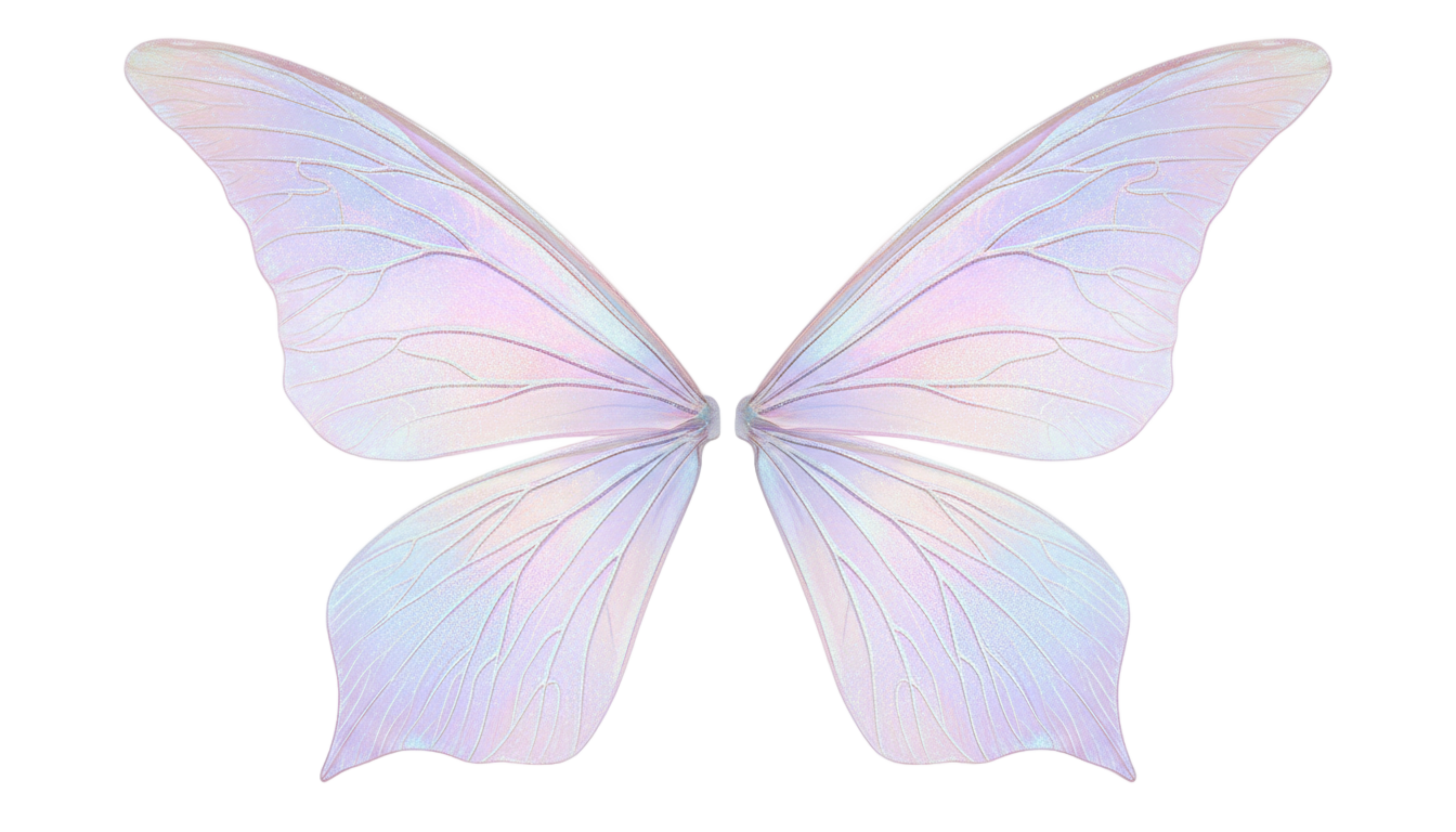 fairy wings png PNG transparent background