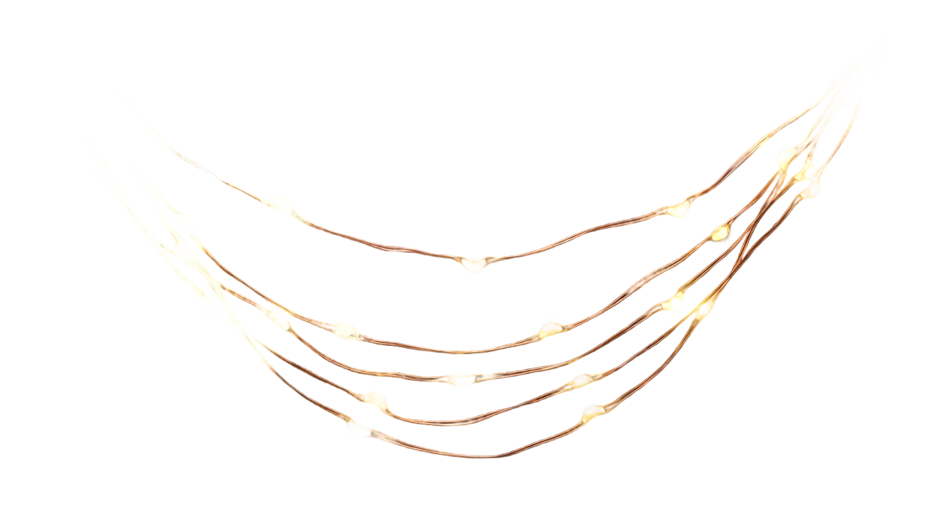 fairy lights illustration png PNG transparent background