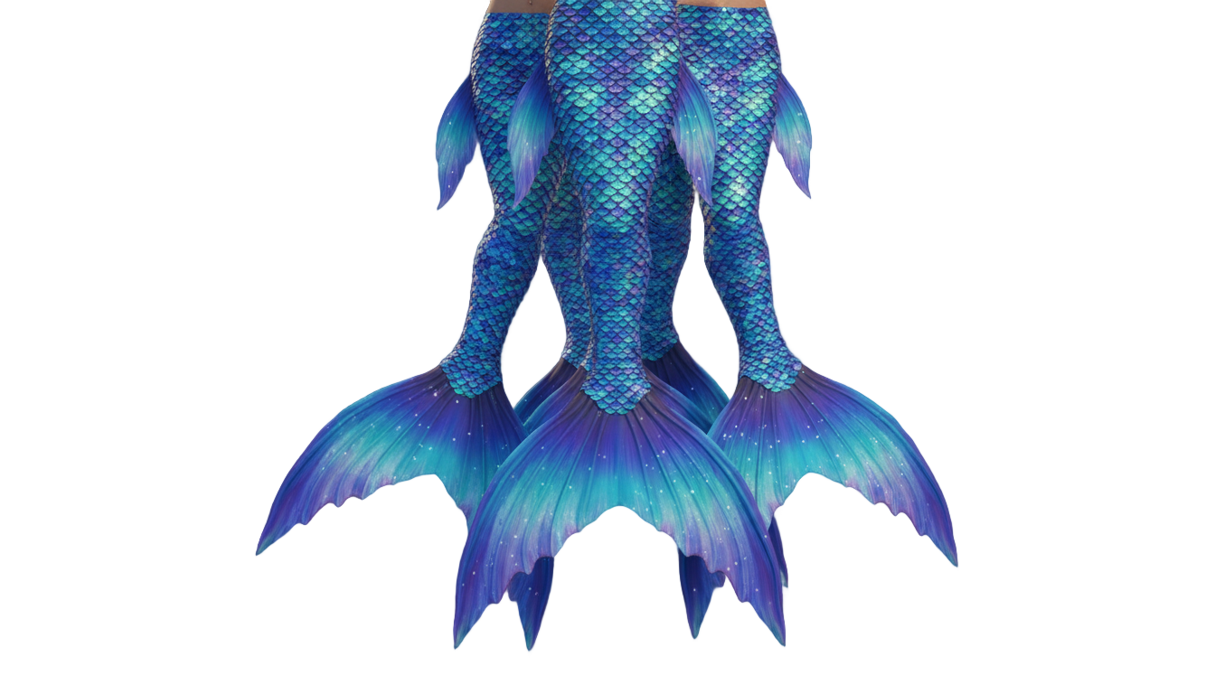 mermaid tails png PNG transparent background