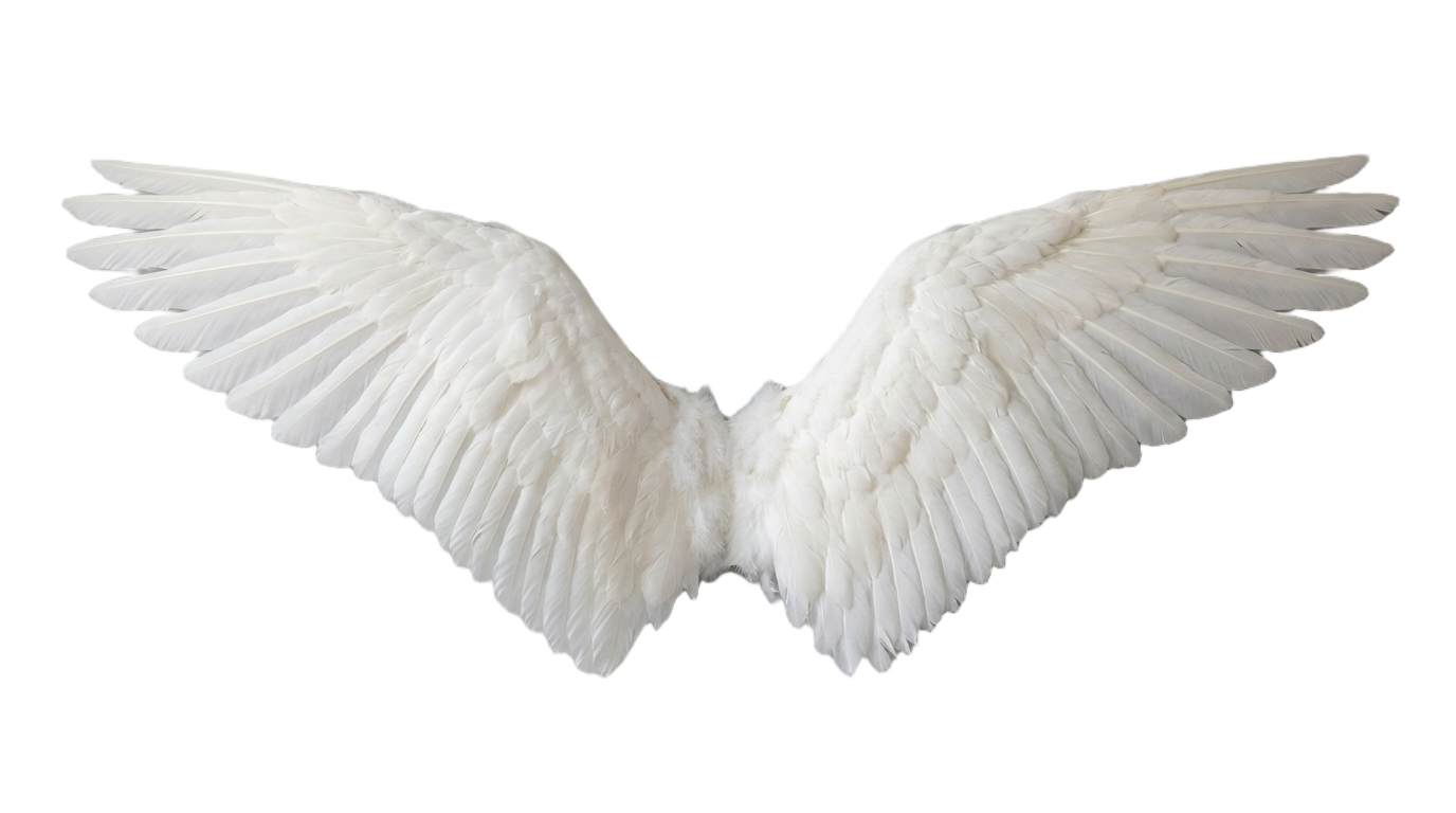 wings angel png PNG transparent background