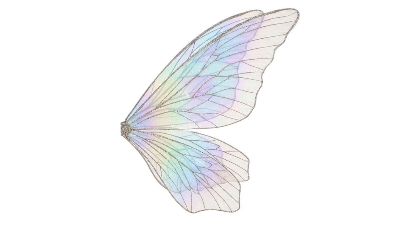 fairy wings side view png PNG transparent background