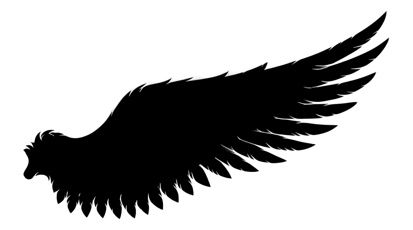 angel wing silhouette png PNG transparent background