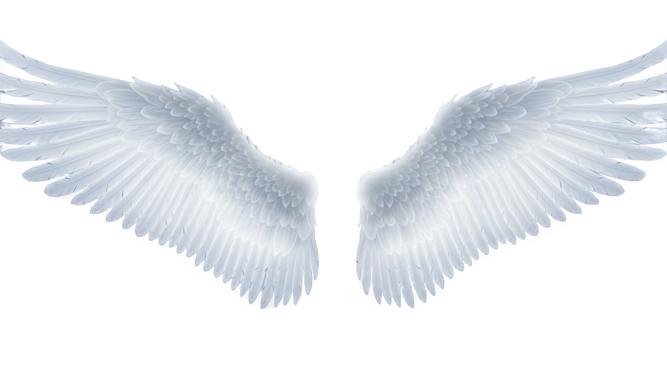 angel wings gif png PNG transparent background