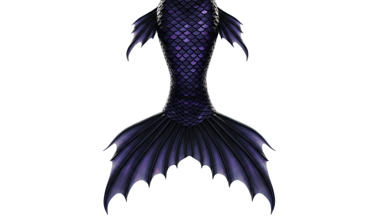 black mermaid tail png PNG transparent background