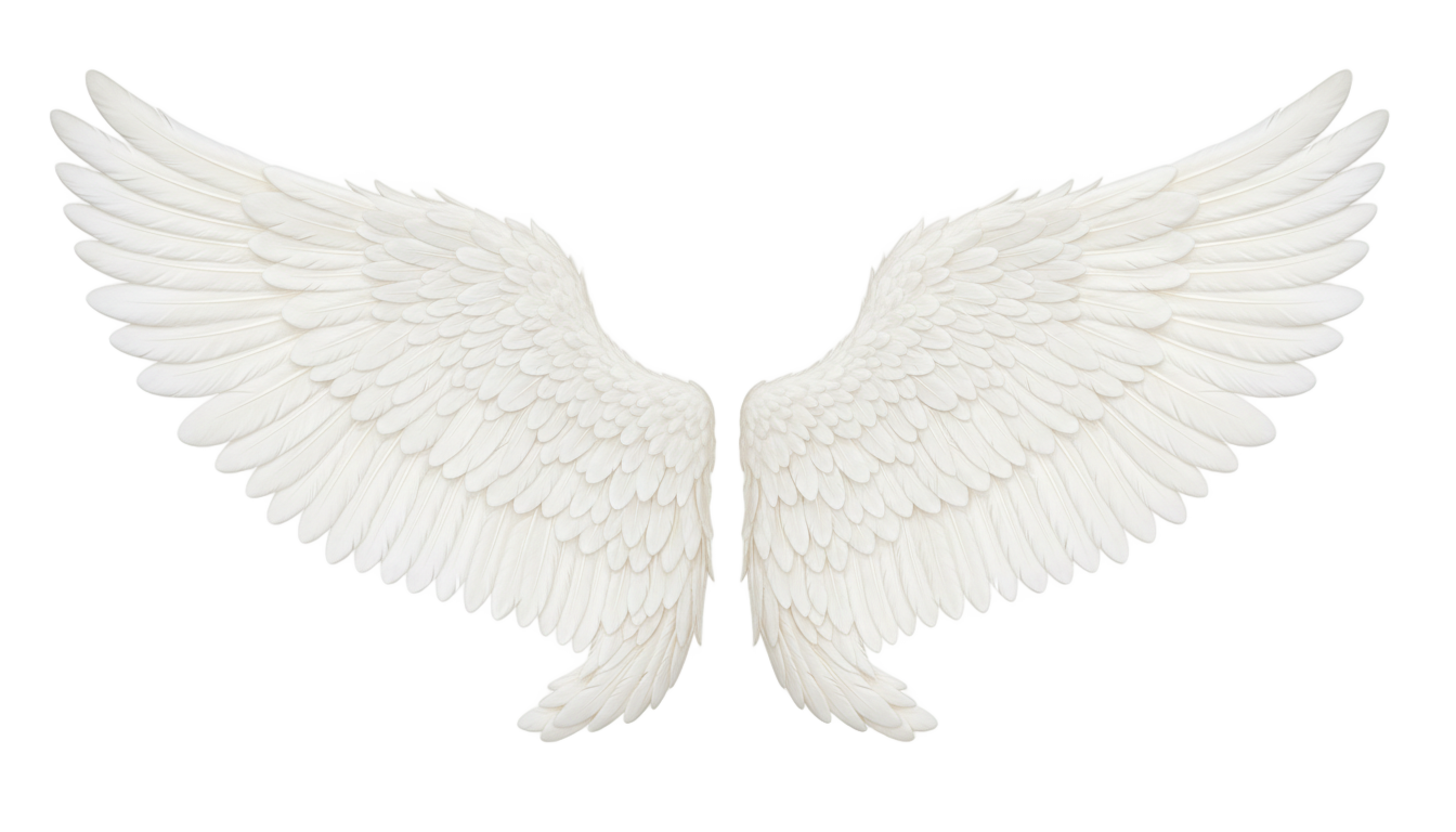 angel wings logo png PNG transparent background