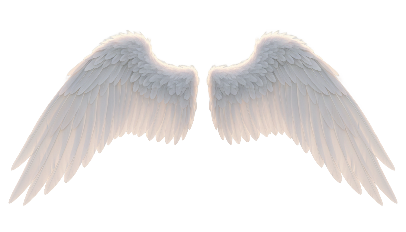 realistic angel wings png PNG transparent background