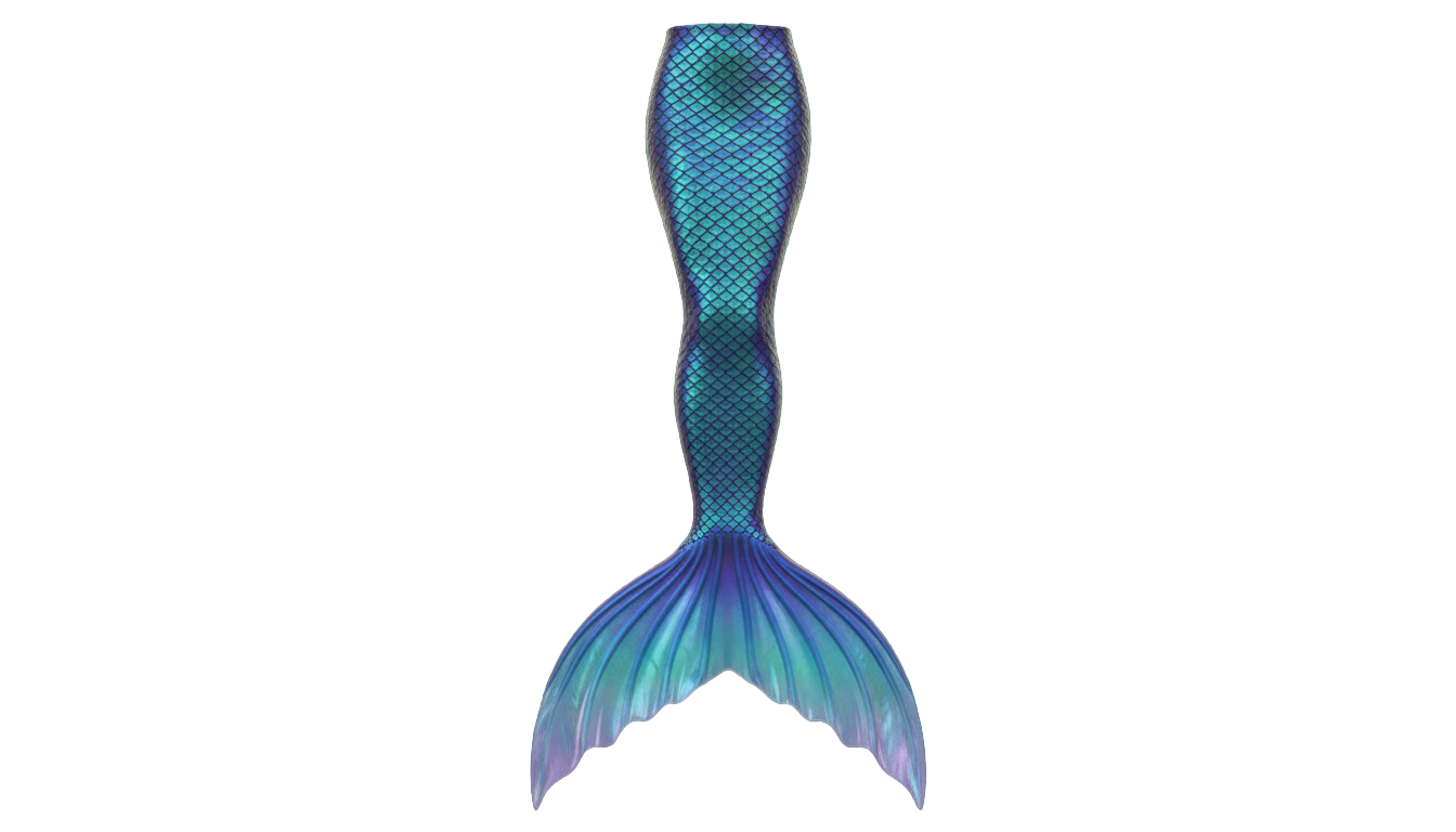 little mermaid tail png PNG transparent background
