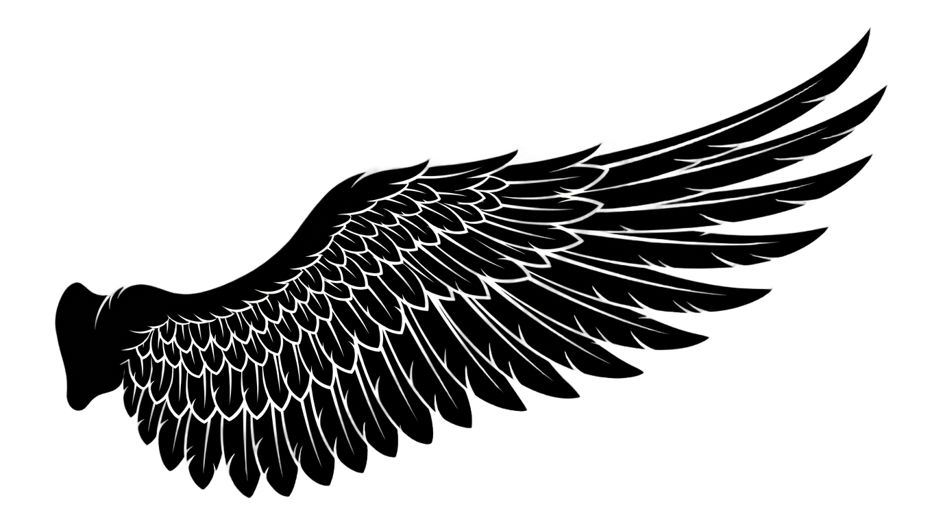 angel wing silhouette png PNG transparent background