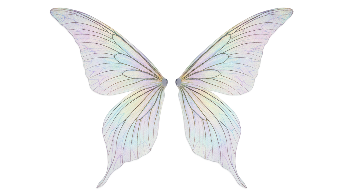 fairy wing png PNG transparent background