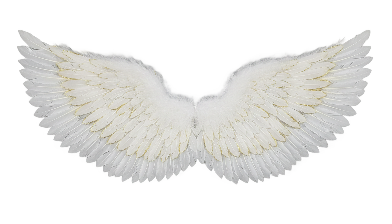 alitas angel png PNG transparent background