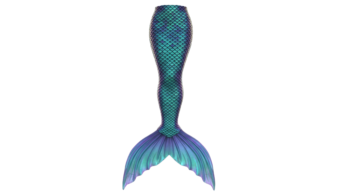 little mermaid tail png PNG transparent background