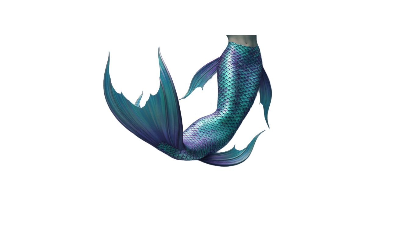 mermaid tail clipart png PNG transparent background